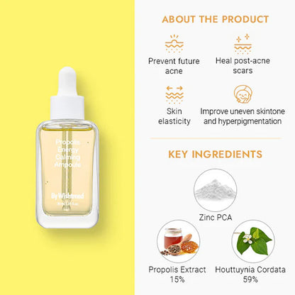 Kbeauty Glass Skin By Wishtrend Propolis Energy Series 