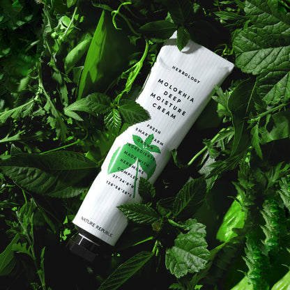 Kbeauty Glass Skin Nature Republic Herbology 