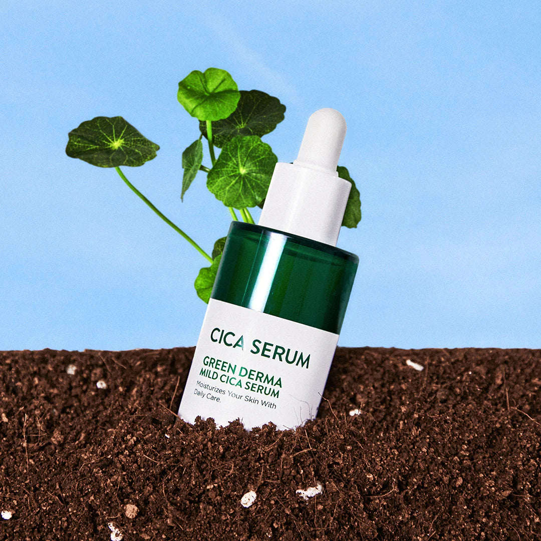 Kbeauty Glass Skin Nature Republic Green Derma 