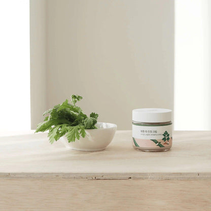 Kbeauty Glass Skin Round Lab Mugwort Calming Cream 80ml 