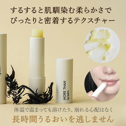 Wholesale Quantity Discount Bulk Pack Kbeauty Glass Skin Sioris More Than Lip Balm 4g 